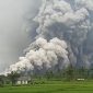 Gunung Semeru di Lumajang Jawa Timur mengeluarkan awan panas.