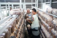 Bulog kembangkan budidaya jamur tiram dan air bersih di Sragen melalui program TJSL. Bupati Sigit apresiasi dukungan Bulog terhadap ekonomi desa.