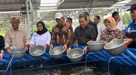 Kementerian Kelautan dan Perikanan bantu 60 ribu bibit lele dan kolam bioflok untuk KDMP Boyolali.