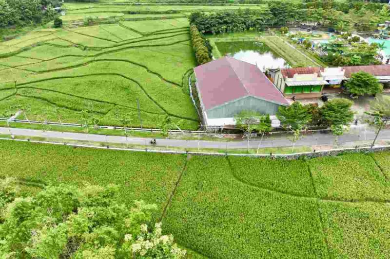 Gambar sebuah rumah di pedesaan di Wonosobo.
